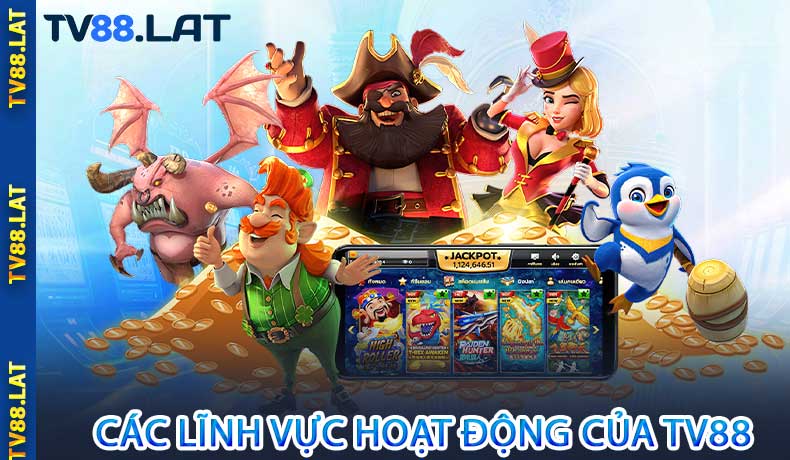 Các lĩnh vực hoạt động của TV88
